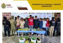 Cateo en Santiago Tuxtla deja 8 detenidos e indicios asegurados