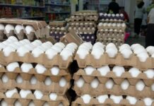 Desciende precio del huevo en Xalapa y da un respiro a la economía familiar