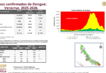Dengue en Veracruz: 263 casos y una defunción en lo que va del año