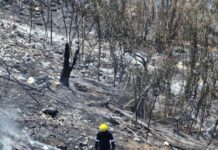Se reactivan puntos humeantes en zona norte; atienden Bomberos de Veracruz