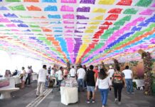 Casa Amatl: la lectura como puente vivo en Yolpaki, Corazón Alegre
