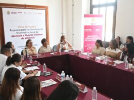 Fortalece Ayuntamiento de Veracruz coordinación institucional para proteger a las mujeres