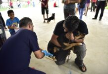 Campaña de vacunación gratuita para perros y gatos inició en la colonia Pamesina de Tantoyuca