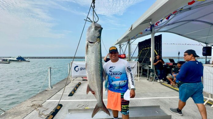 pesca