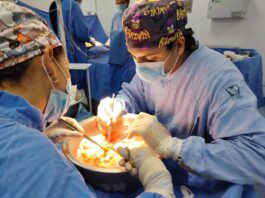 Realiza UMAE HE No. 14 del IMSS Veracruz Norte tercera procuración cadavérica del año