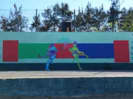 Veracruz y el Mundial / Yamiri Rodríguez Madrid