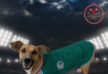 Centro de Salud Animal de Tantoyuca invita a adoptar mascotas y brindarles una segunda oportunidad