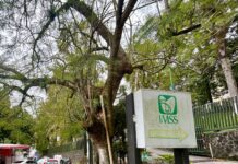 Denuncian negligencia en Clínica 11 del IMSS en Xalapa; familiares promoverían amparo