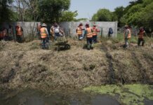Intensifica Ayuntamiento de Veracruz trabajos de limpieza y desazolve ante temporada de lluvias
