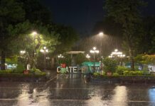 Detectan focos rojos en Coatepec por maltrato animal