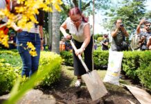 Con jornada de reforestación, conmemora Ayuntamiento Día Mundial del Medio Ambiente