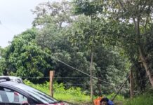 Vecinos de El Sumidero impiden cercado de área verde; alertan posible tala ilegal, en Xalapa