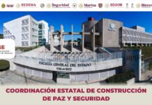 49 resoluciones en 24 horas como resultado de investigaciones ministeriales