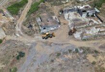 Alerta en Alvarado: arenera viola clausura y destruye nidos de tortuga marina