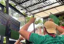 Mataron a otro periodista, pero que viva el Tri / Bernardo Gutiérrez Parra