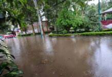 Lluvias dejan afectaciones en 13 municipios de Veracruz; reportan 84 viviendas dañadas