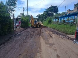 Reportan deslaves por lluvias en Coatepec