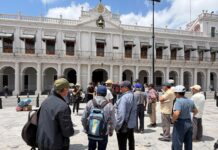 Roya devasta 5 mil hectáreas de café en región de Coatepec