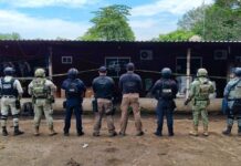 SSP y fuerzas federales aseguran armamento, granadas y droga en Tierra Blanca