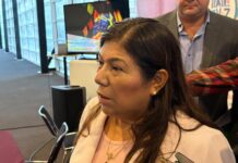 Festivales y Feria Nacional del Libro, listos para el verano: Secver