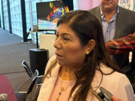 Festivales y Feria Nacional del Libro, listos para el verano: Secver
