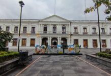 Las grillas en Coatepec / Enrique Yasser Pompeyo