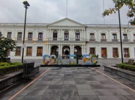 Las grillas en Coatepec / Enrique Yasser Pompeyo