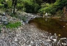 Exigen plan de manejo para el río Pixquiac; buscan garantizar agua para Xalapa