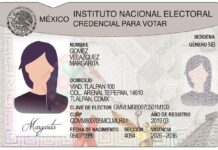 La nueva Credencial para Votar incorpora tecnologías de última generación que fortalecen la protección contra la falsificación