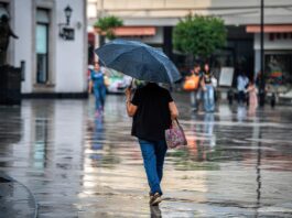 Protección Civil nacional coordina acciones preventivas en Veracruz por el pronóstico de fuertes lluvias