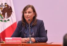 Estado en espera de dictamen de autoridades ambientales sobre mortandad de peces
