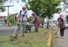 Recupera Ayuntamiento de Veracruz más de 160 espacios públicos con jornadas permanentes de mantenimiento