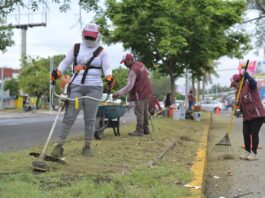 Recupera Ayuntamiento de Veracruz más de 160 espacios públicos con jornadas permanentes de mantenimiento