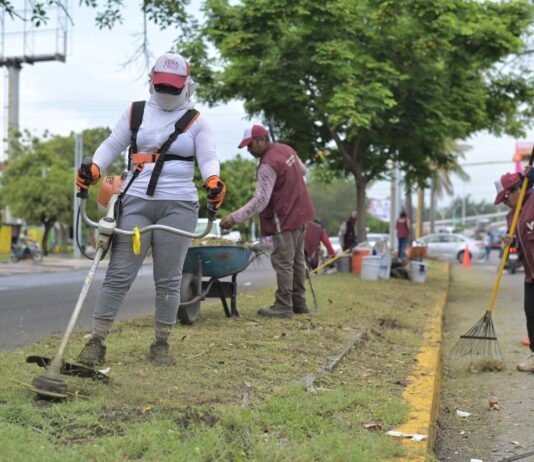 Recupera Ayuntamiento de Veracruz más de 160 espacios públicos con jornadas permanentes de mantenimiento