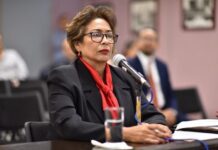 González Cobos, ¿Del ORFIS a San Lázaro? / Hora cero