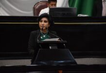 Diputada local Elízabeth Morales, presenta iniciativa para otorgar licencia laboral para personas cuidadoras en Veracruz