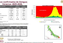 Reporte de Salud: 387 casos de dengue en Veracruz y una defunción por la enfermedad