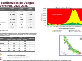Reporte de Salud: 387 casos de dengue en Veracruz y una defunción por la enfermedad