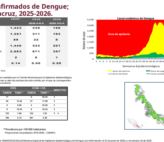 Reporte de Salud: 387 casos de dengue en Veracruz y una defunción por la enfermedad