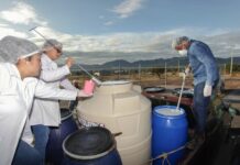 Atiende Leche para el Bienestar demandas de productoras y productores en Veracruz