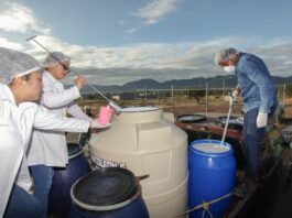 Atiende Leche para el Bienestar demandas de productoras y productores en Veracruz