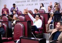 Corte de caja legislativo / Yamiri Rodríguez Madrid