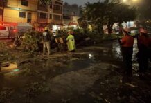 PC mantiene monitoreo y atención coordinada por lluvias en el estado