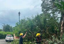 Atiende PC de Coatepec daños por intensas lluvias