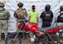 Reporta SSP aseguramiento de 445 kilos de presunta droga y 111 armas largas