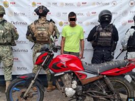 Reporta SSP aseguramiento de 445 kilos de presunta droga y 111 armas largas