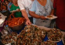 Un éxito el Festival del Ostión 2026 en Las Barrillas; miles disfrutan y reactivan economía