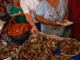 Un éxito el Festival del Ostión 2026 en Las Barrillas; miles disfrutan y reactivan economía