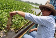Diputada Mago Corro denuncia ante Profepa y PMA ecocidio y mortandad masiva de peces en Arroyo Hondo