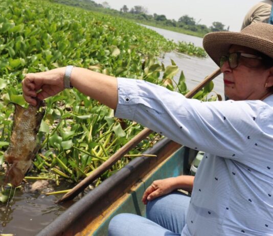 Diputada Mago Corro denuncia ante Profepa y PMA ecocidio y mortandad masiva de peces en Arroyo Hondo